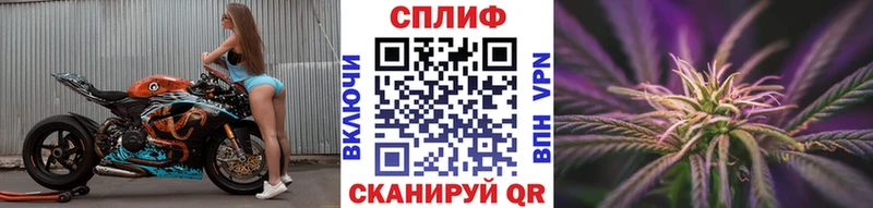 Псилоцибиновые грибы Тобольск