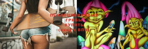 шишки Алзамай