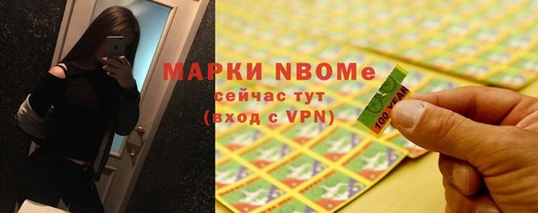 шишки Алзамай