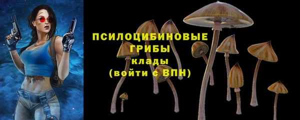 ГАЛЛЮЦИНОГЕННЫЕ ГРИБЫ Алексеевка