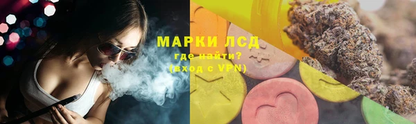 шишки Алзамай