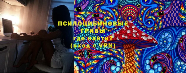 шишки Алзамай