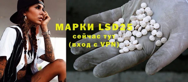 шишки Алзамай