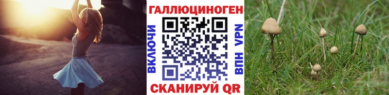 hydra вход  Тобольск  Псилоцибиновые грибы Psilocybe 